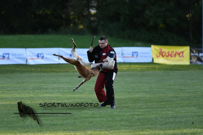 Impressionen 331.jpg